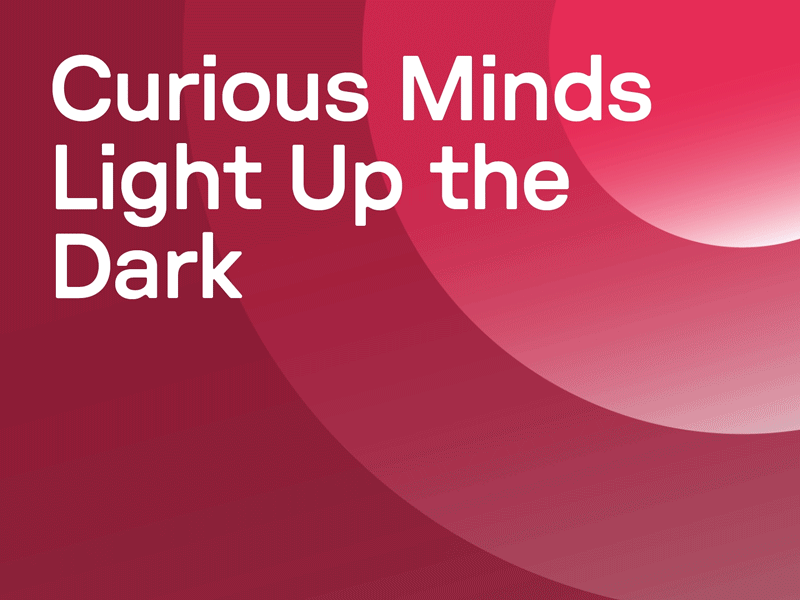 Curious Minds Light Up the Dark