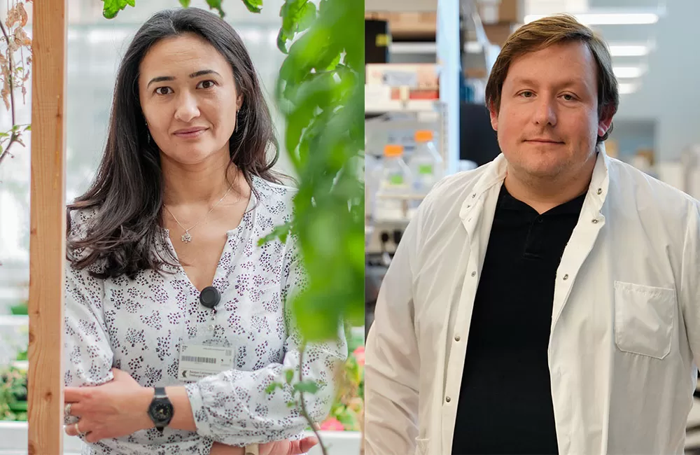 Ora Hazak I Thomas Schlichthärle