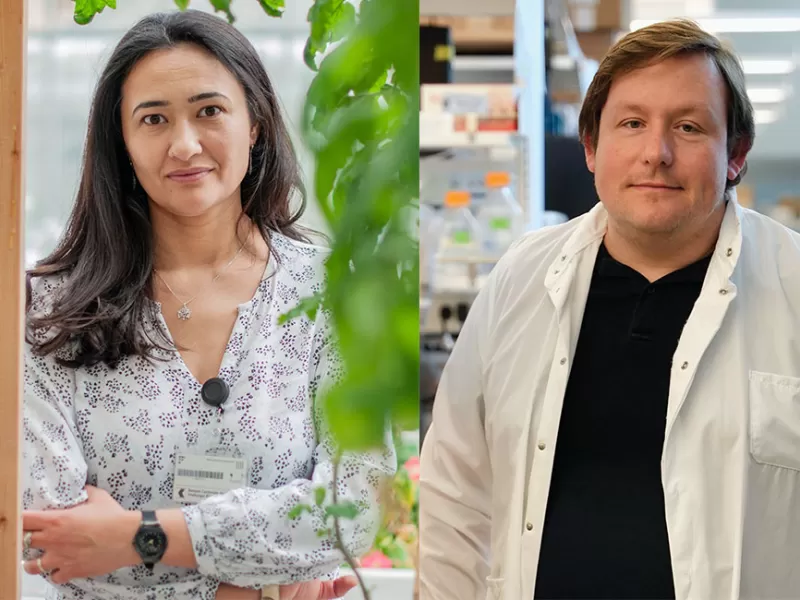 Ora Hazak I Thomas Schlichthärle