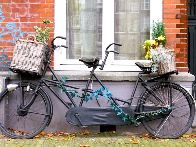 Tandem bicycle