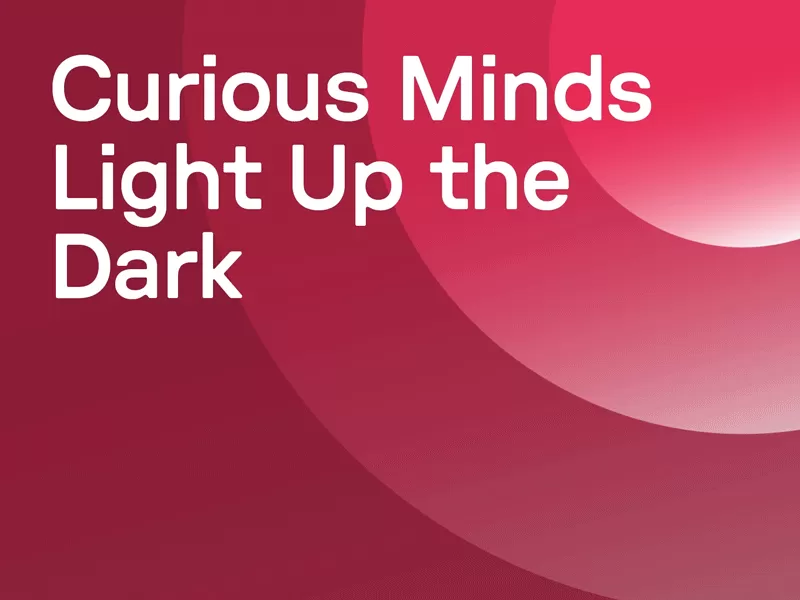 Curious Minds Light Up the Dark